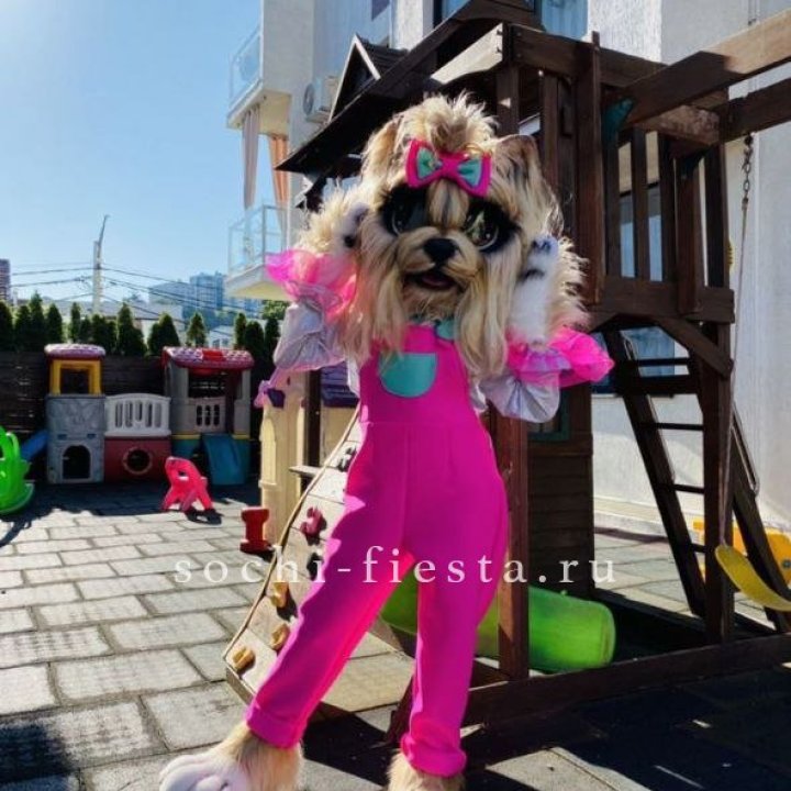Аниматор Гламурная Собака в Махачкале