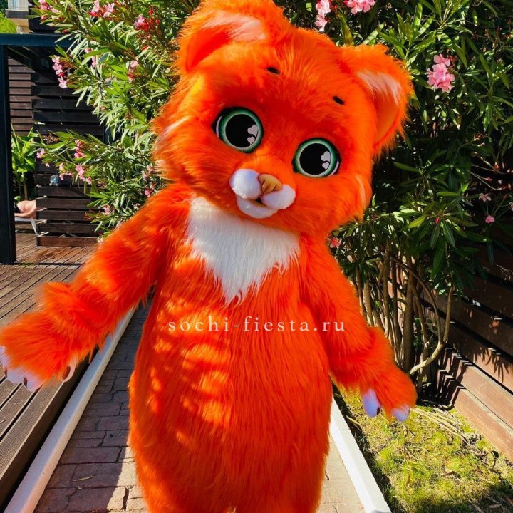 Аниматор Котик в Махачкале