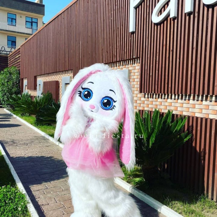 Аниматор Зайка в Махачкале