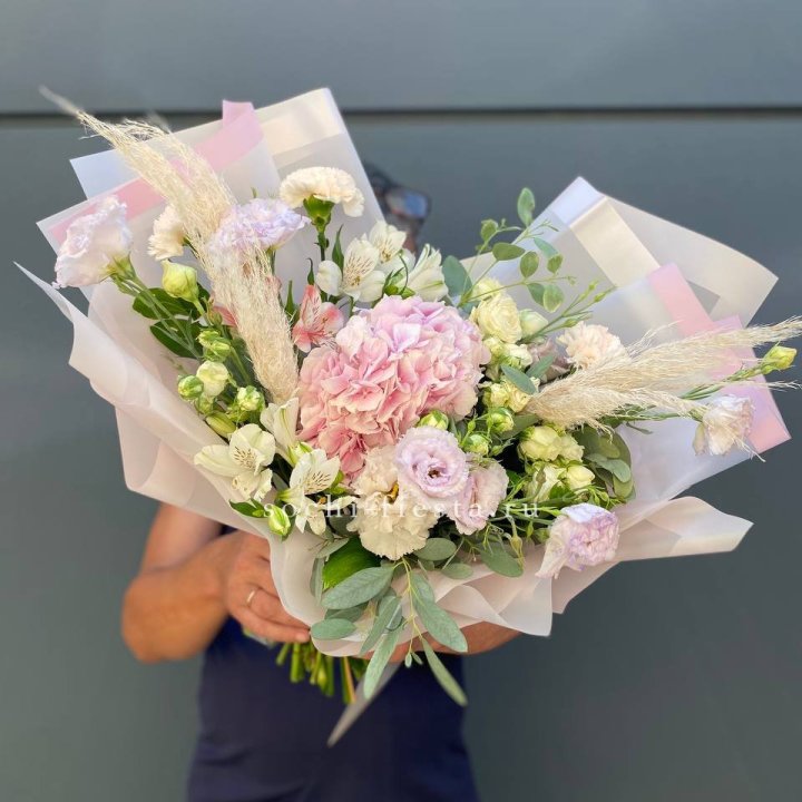 Гортензия "Пинк флоид" в Махачкале