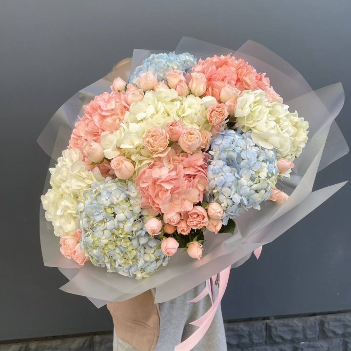 Дуо гортензии и бомбастик в Махачкале