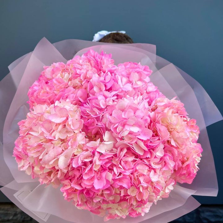 9 ярко розовых гортензий в Махачкале