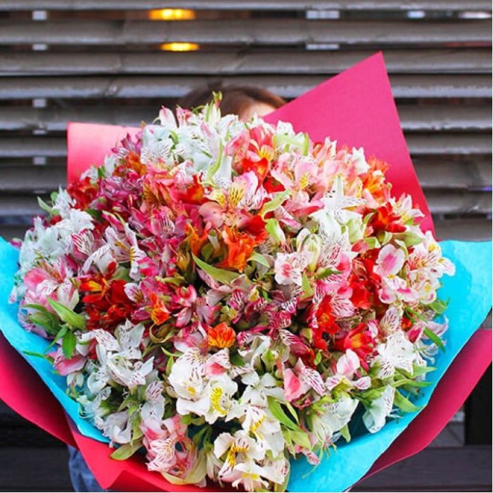 101 альстромерия в Махачкале