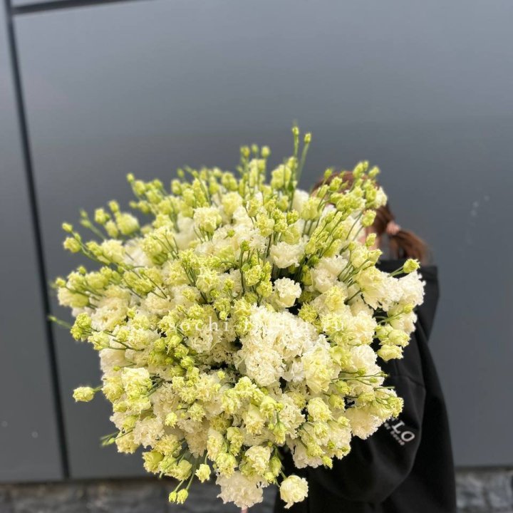 51 белая эустома в Махачкале