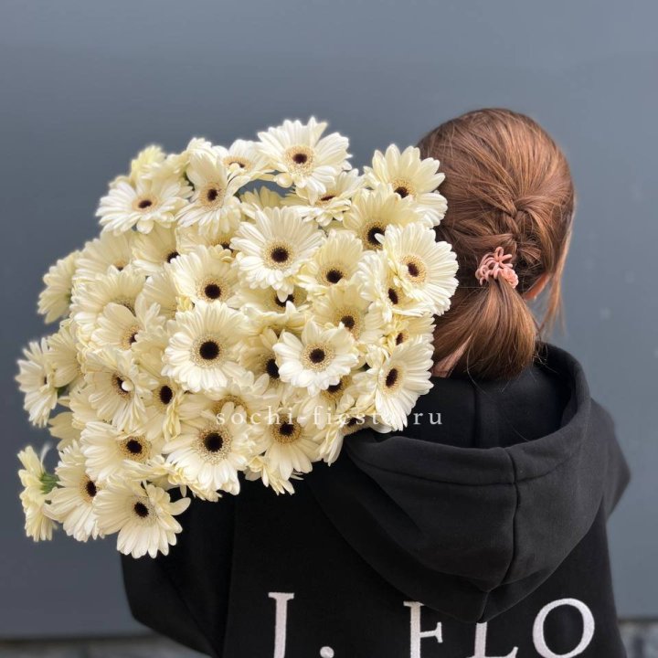 51 гербера в Махачкале