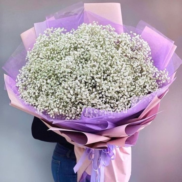 Облако белых гипсофил в Махачкале