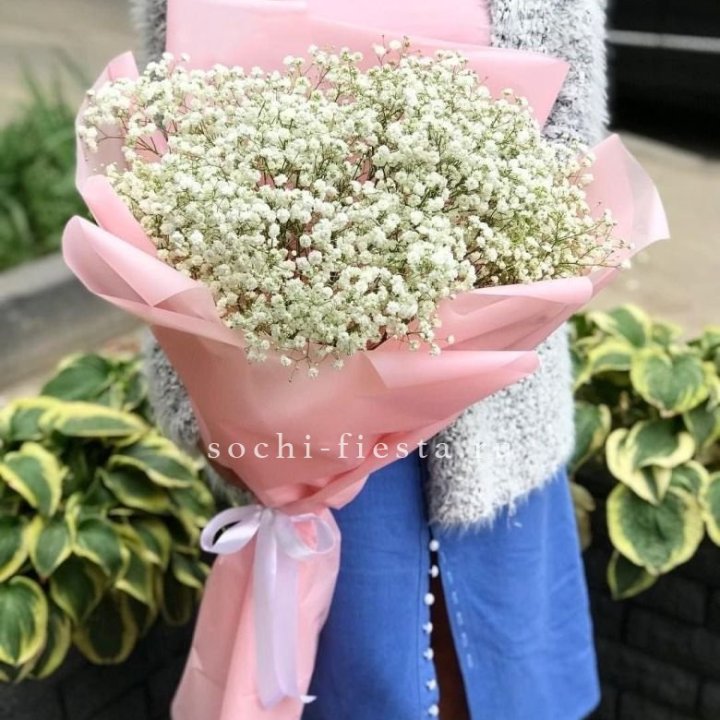 Белоснежные гипсофилы в Махачкале