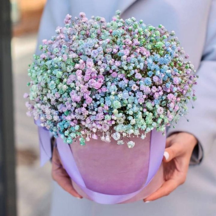 Гипсофилы в шляпной коробке "Кандилайт" в Махачкале