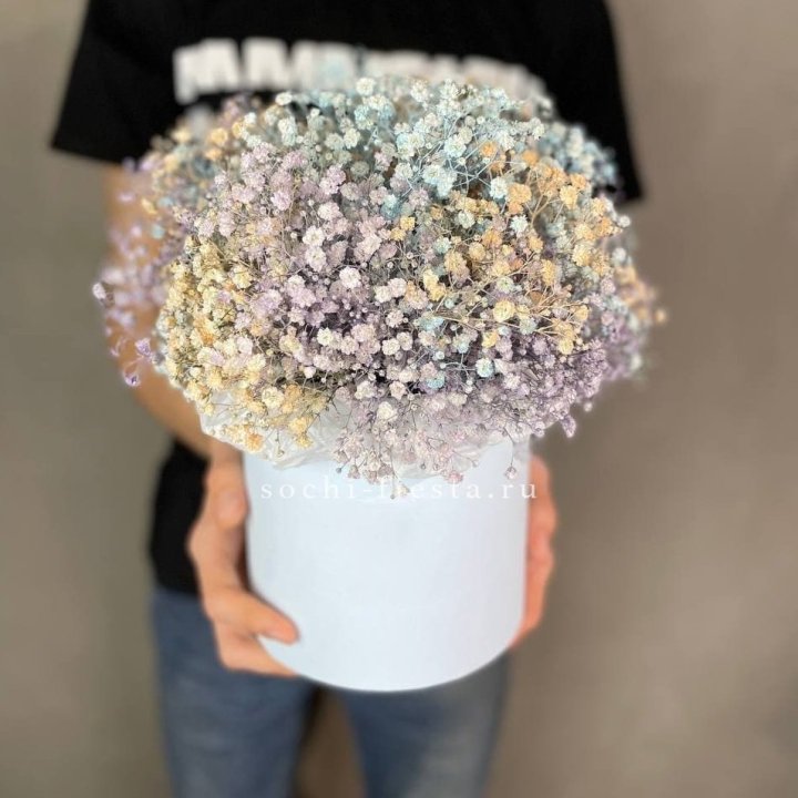 9 Радужных гипсофил в шляпной коробке в Махачкале