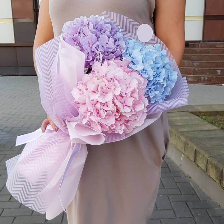 Букет гортензий "Пуф" в Махачкале