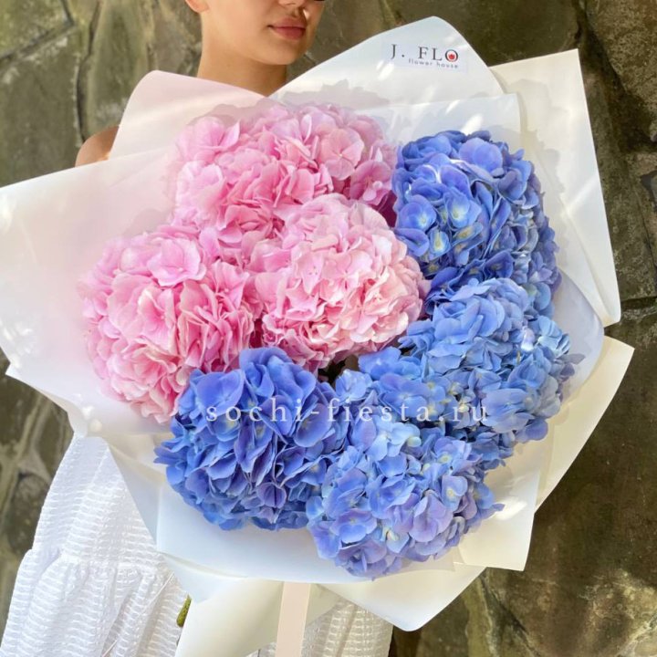 Букет гортензий №1 в Махачкале