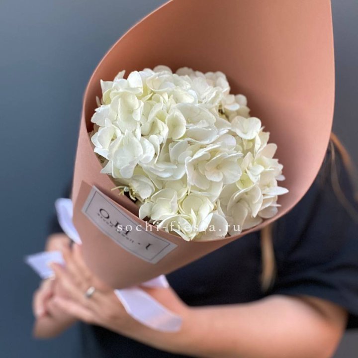 Гортензия в конверте в Махачкале