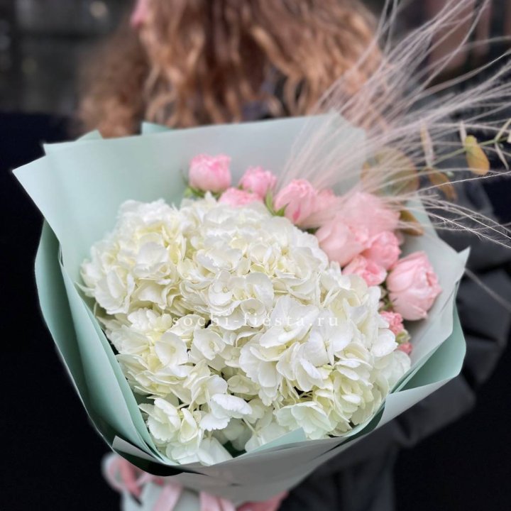 Гортензия "Жасмин" в Махачкале