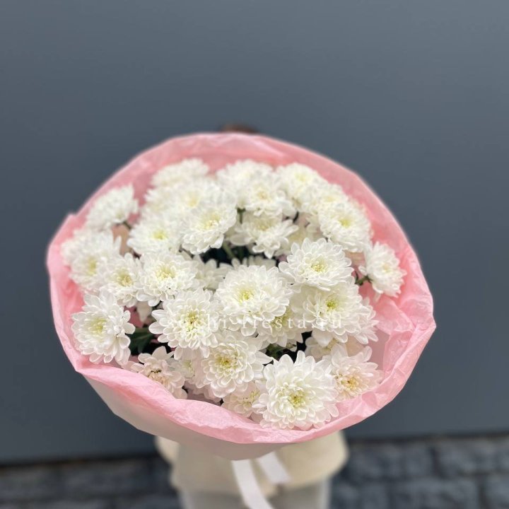  5 хризантем  в Махачкале