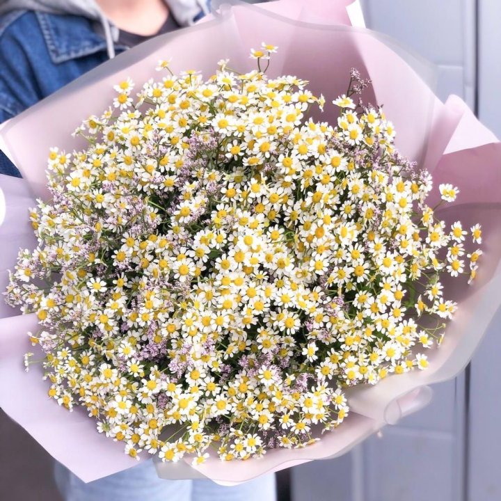 Букет ромашек №1 в Махачкале