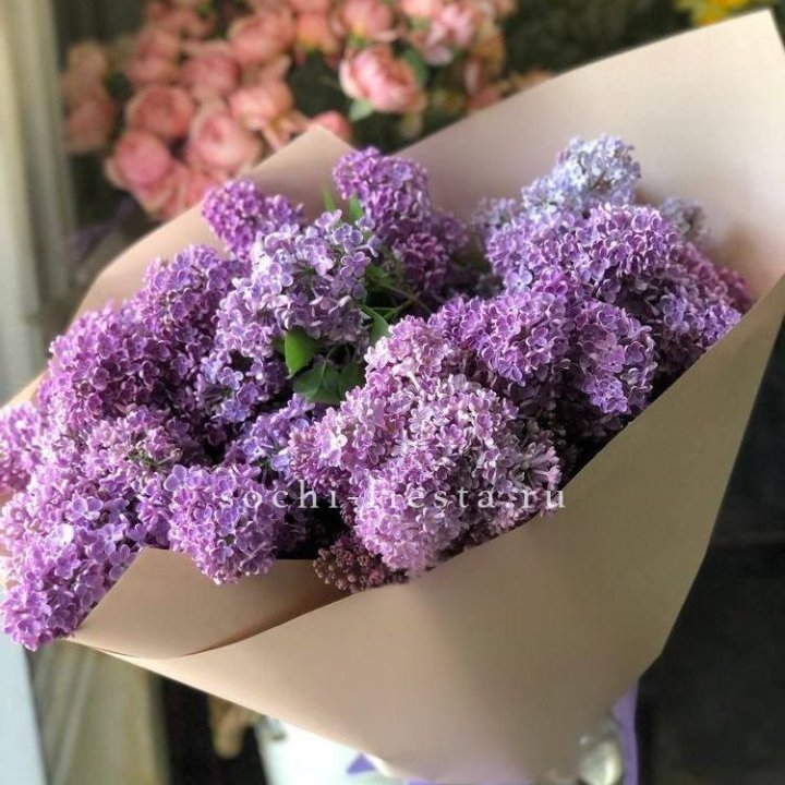Букет сирени №2 в Махачкале