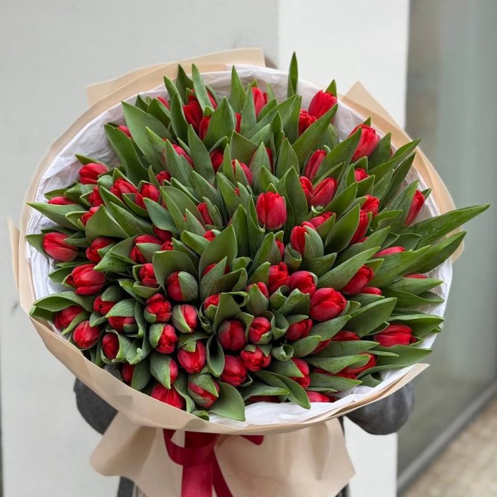 101 красный тюльпан в Махачкале