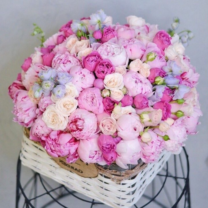 Композиция "Черри" в Махачкале