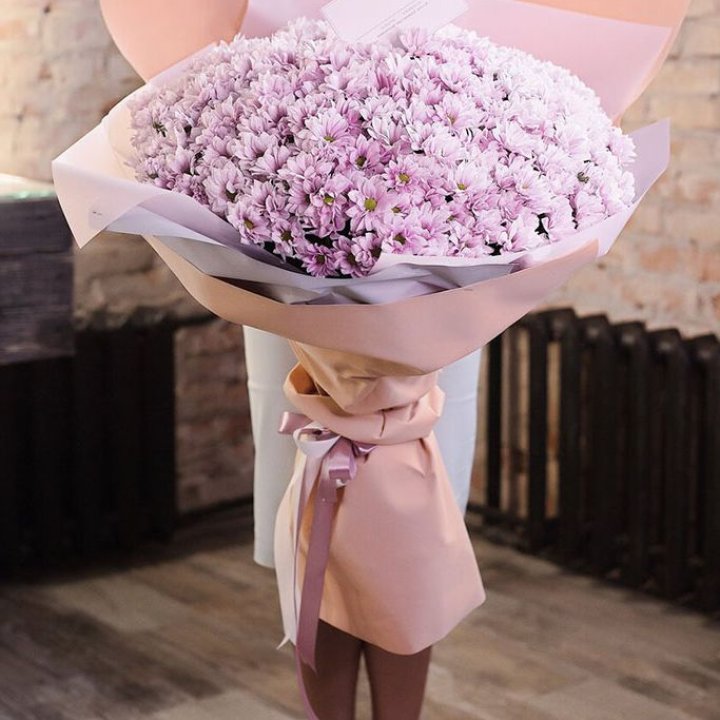 Облако хризантем №1 в Махачкале