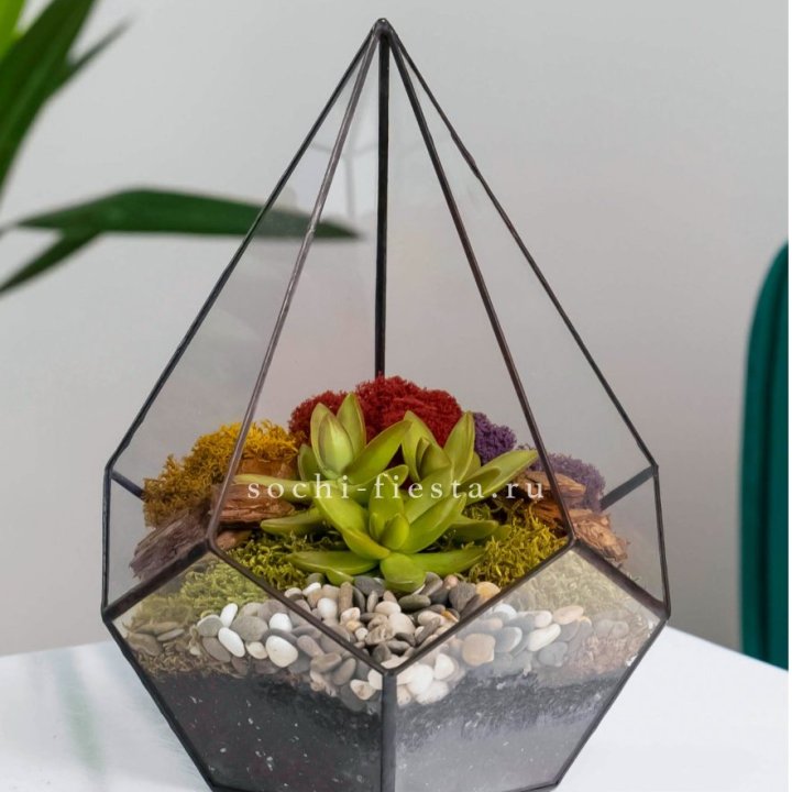 Флорариум Капля с суккулентом в Махачкале