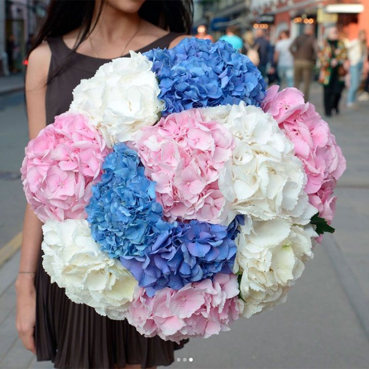 Букет гортензий "Инь-Янь" в Махачкале