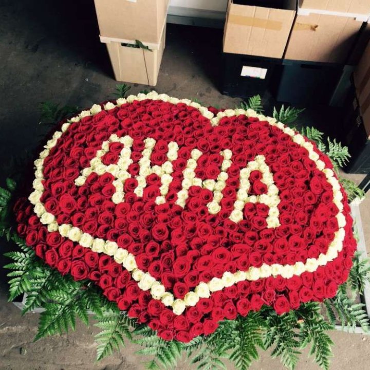 555 роз с именем в Махачкале