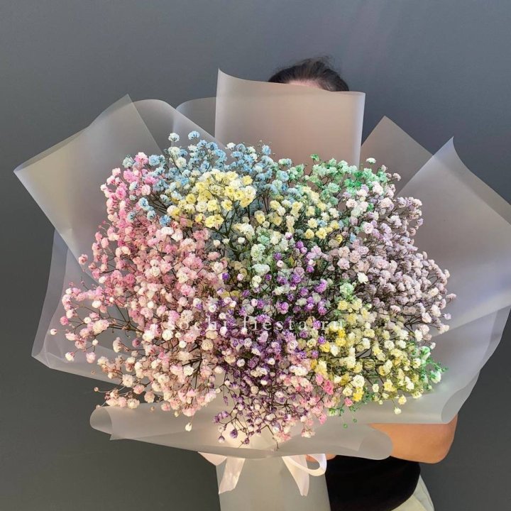 Радужные гипсофилы  в Махачкале