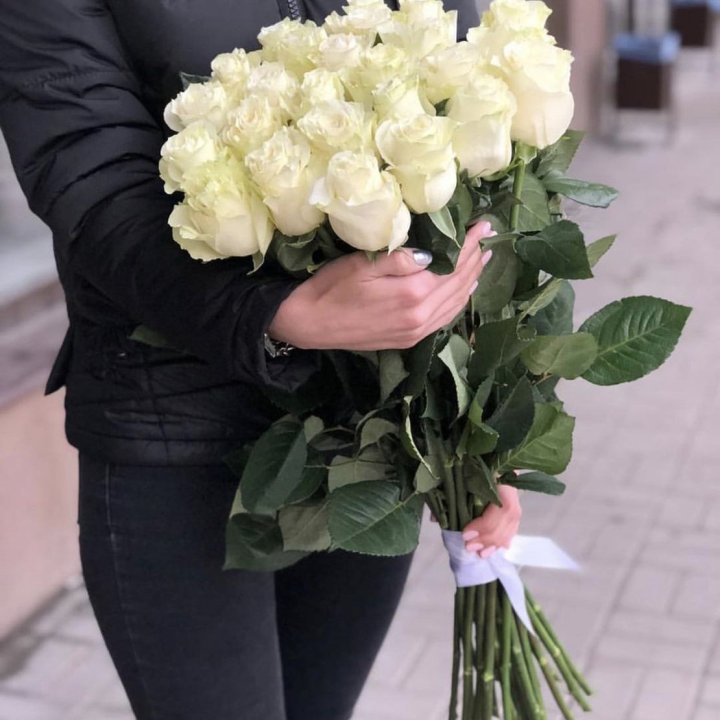 Голландские розы белые в Махачкале