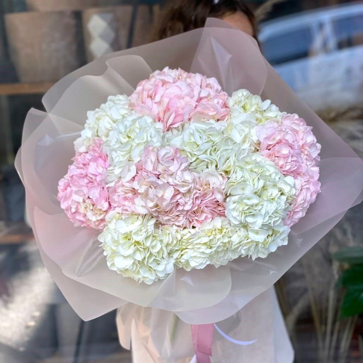 Букет гортензий № 3 в Махачкале