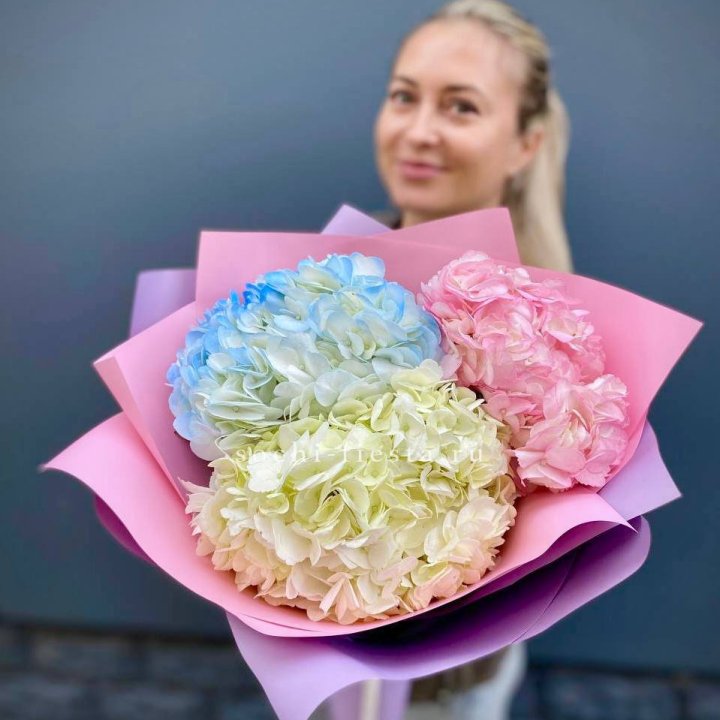 Букет гортензий "Тоника" в Махачкале