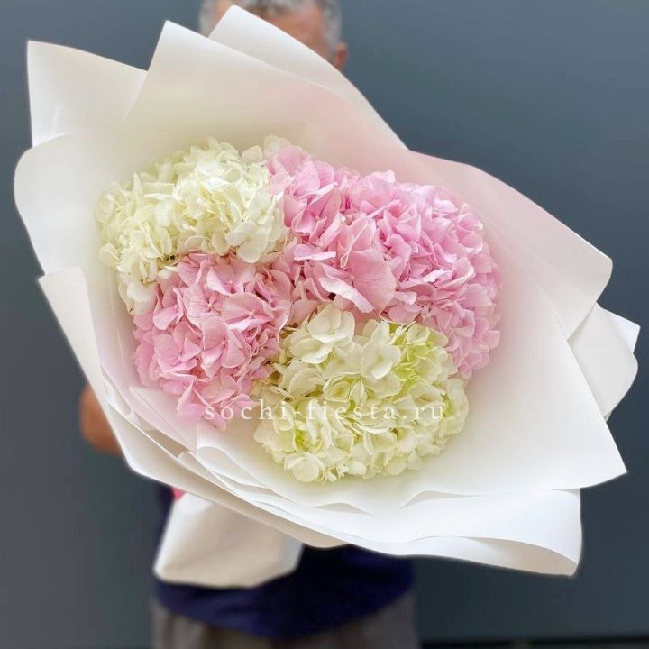 Букет гортензий №5 в Махачкале