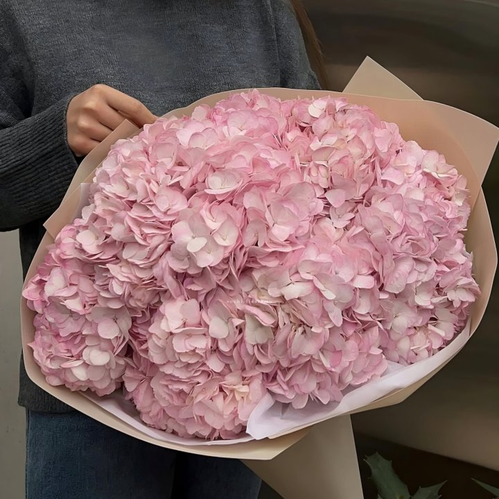 Гортензия  "РОЗЕ" в Махачкале