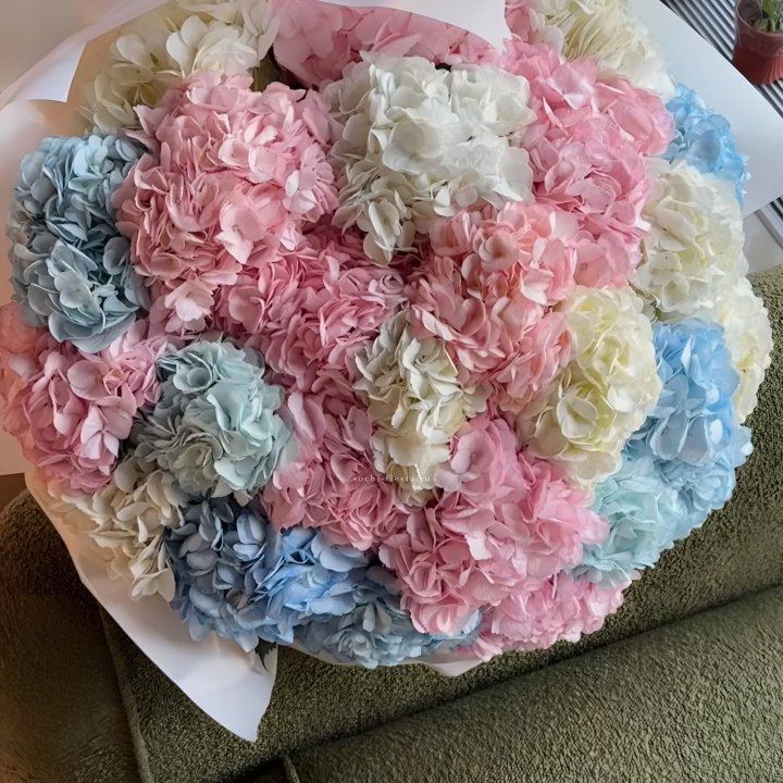 Букет гортензий микс в Махачкале