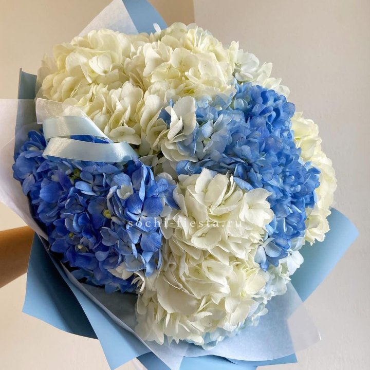 Букет гортензий "Голубая лаза" в Махачкале