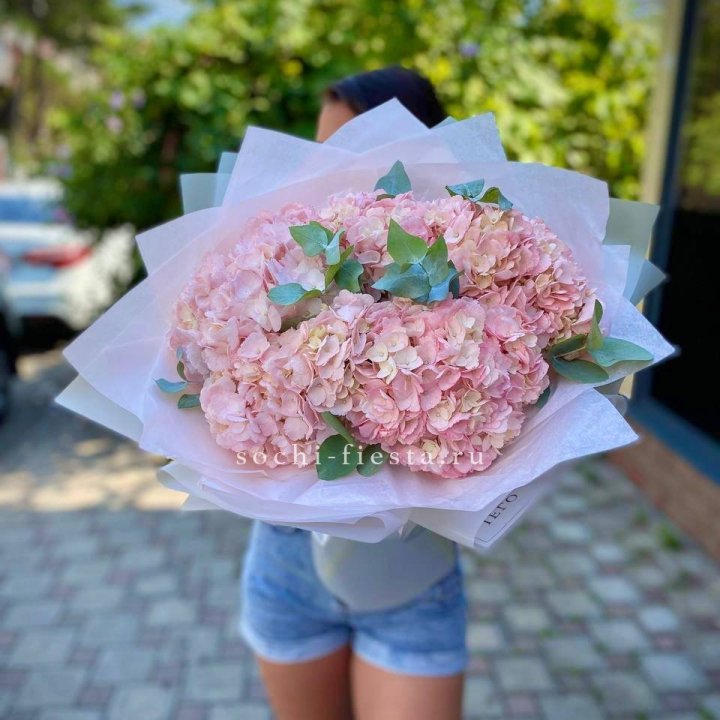5 розовых гортензий  в Махачкале