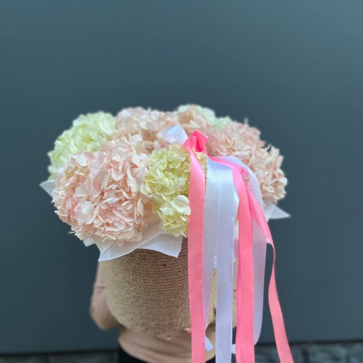 7 гортензий в кашпо в Махачкале