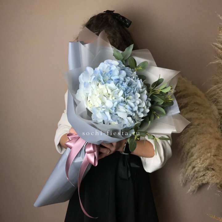 Гортензия Уно в Махачкале