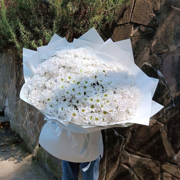 Облако хризантем №2 в Махачкале