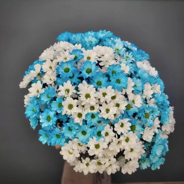  Букет хризантем микс в Махачкале