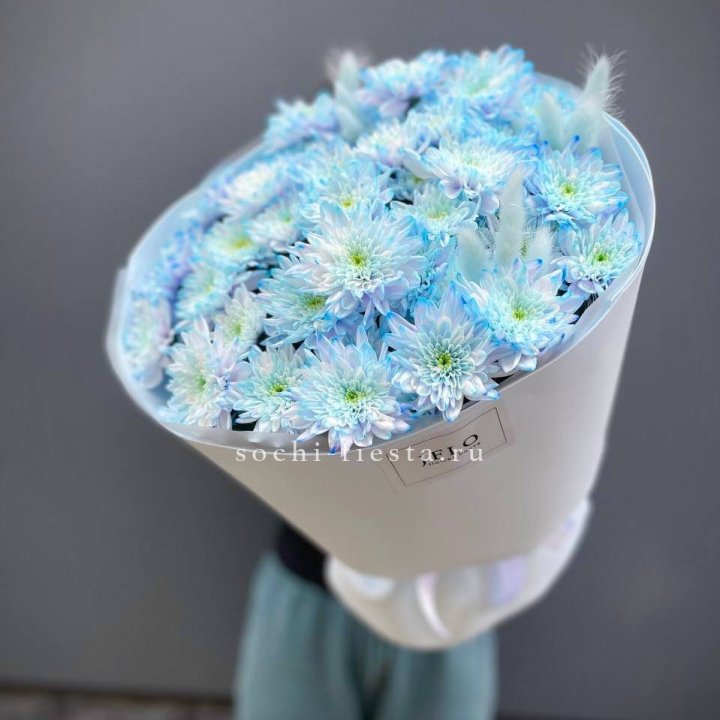  Букет нежно-голубых хризантем  в Махачкале