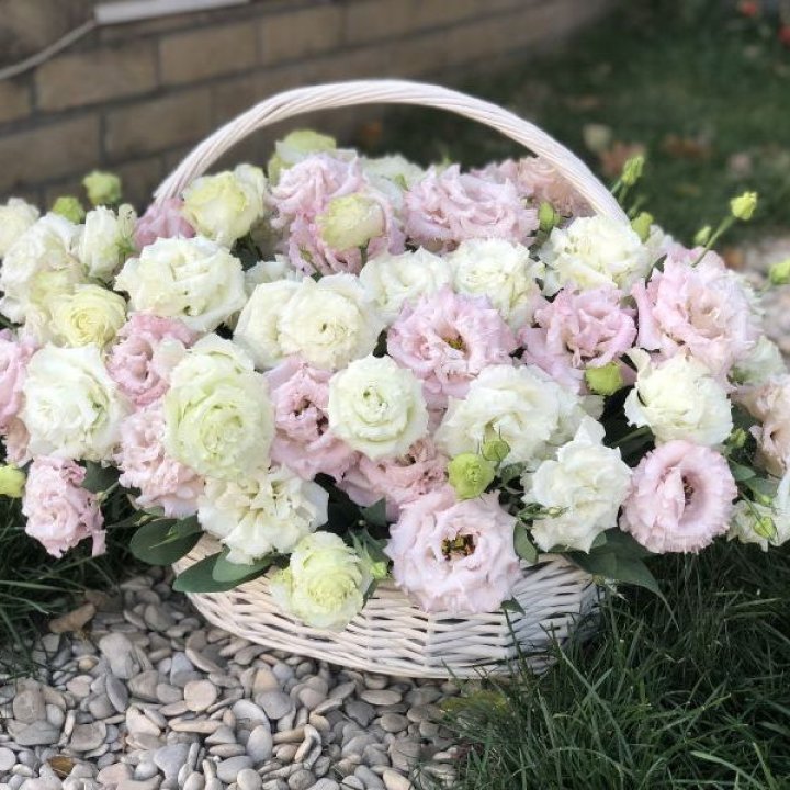 Корзина с эустомой в Махачкале