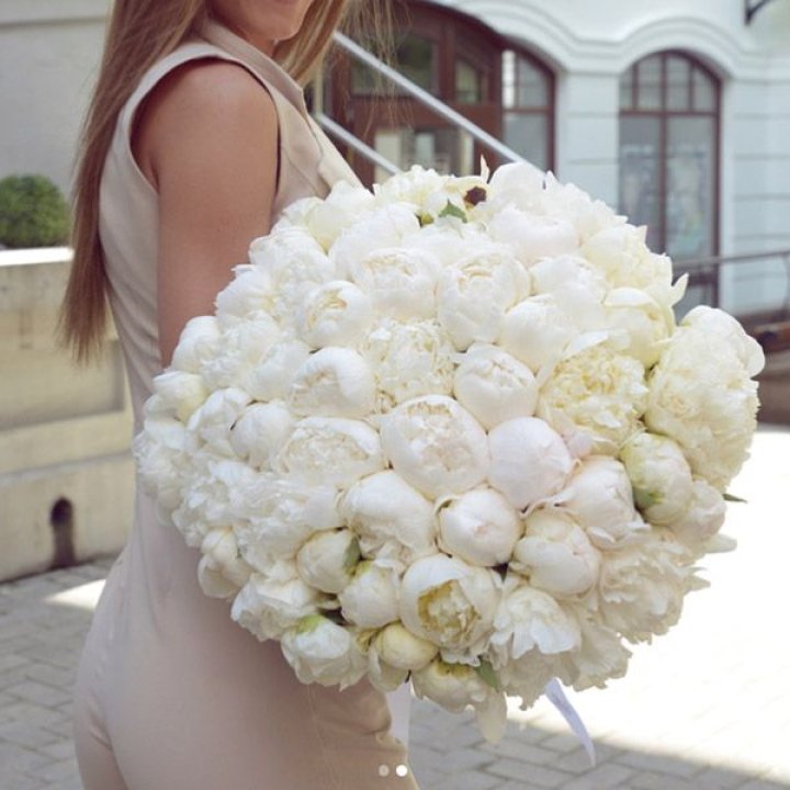 51 белый пион в Махачкале