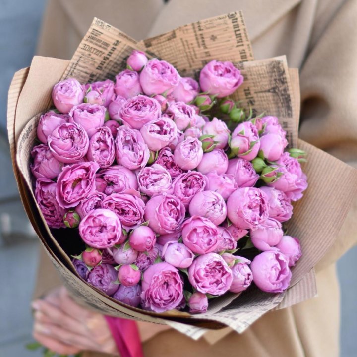 Роза Мисти Баблс в Махачкале