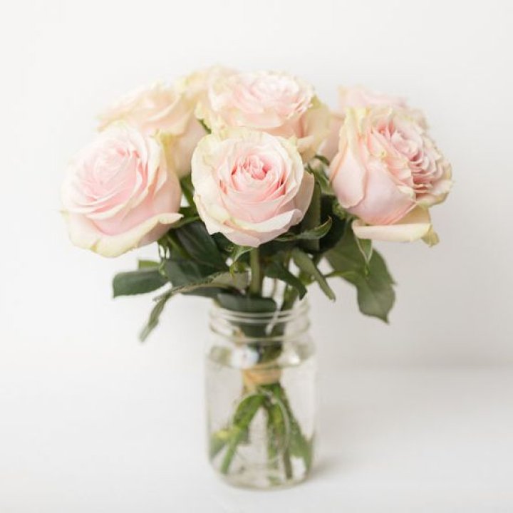 7 кремовых роз в Махачкале