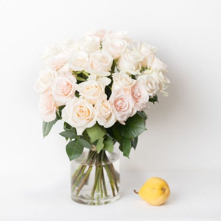 25 кремовых роз в Махачкале