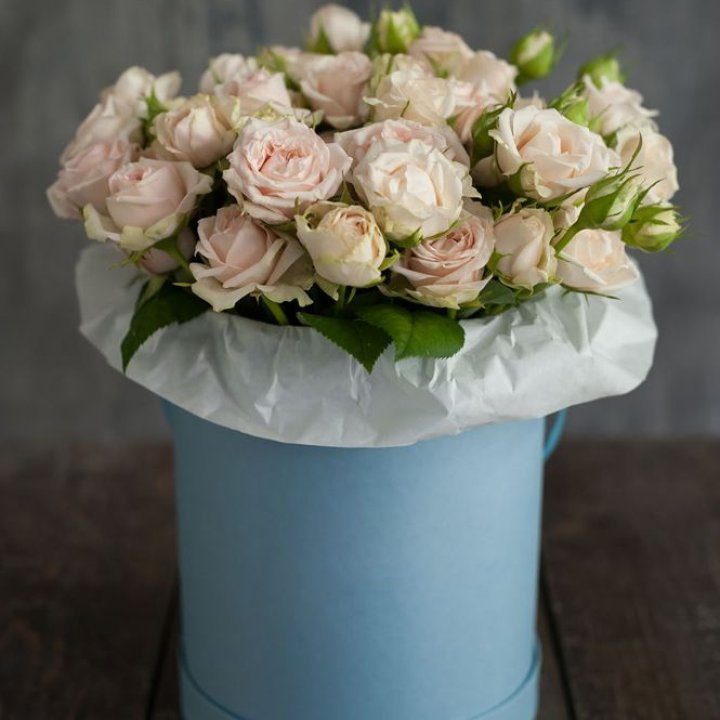 Бокс с бомбастиком в Махачкале