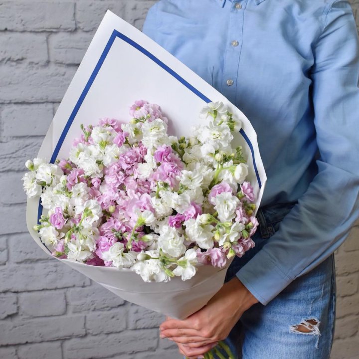 Маттиола в Махачкале