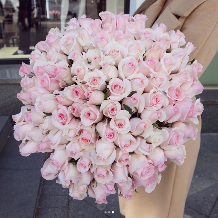 Розы "Пинк бум" в Махачкале