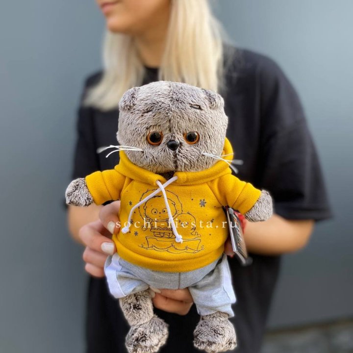 Кот Басик в худи в Махачкале