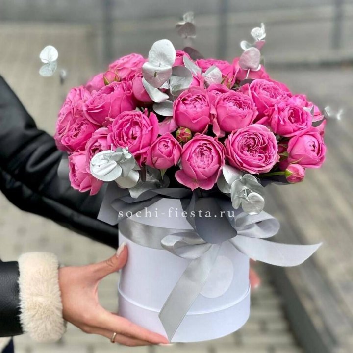 Бокс мисти баблс №2 в Махачкале